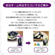画像2: 涼夏ぷち (2)