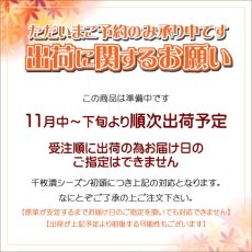 画像2: 千枚漬　SEN-7　T8.5号 (2)