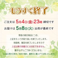 画像9: 〔５月４日まで〕春のOAJIMI　◎　お試しセット (9)