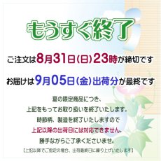 画像10: 【８月３１日まで】しぃずん　涼風　 (10)