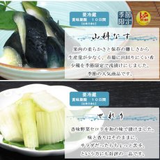 画像5: 秋のOAJIMI　お試しセット (5)