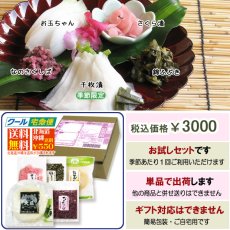 画像8: 早春のおあじみ ◎お試しセット (8)