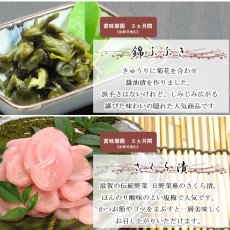 画像6: 早春のおあじみ ◎お試しセット (6)