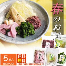 画像1: 〔５月４日まで〕春のOAJIMI　◎　お試しセット (1)