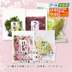 画像2: 〔５月４日まで〕春のOAJIMI　◎　お試しセット (2)