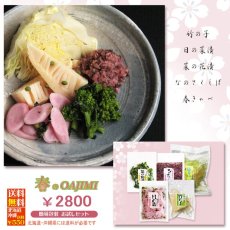 画像3: 〔５月４日まで〕春のOAJIMI　◎　お試しセット (3)