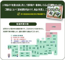 画像10: 早春のおあじみ ◎お試しセット (10)