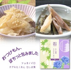 画像1: 京のおみや【ショカノイロ】 (1)