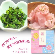 画像1: 京のおみや【ハルノイロ】 (1)