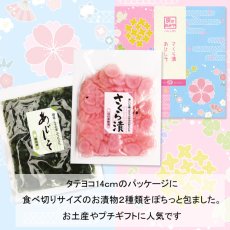 画像2: 京のおみや【ハルノイロ】 (2)
