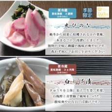 画像6: 洛乃華　【創業１６０周年記念商品】RH-10 (6)
