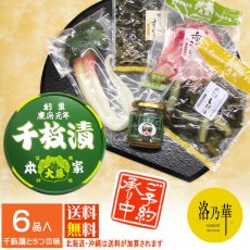 画像1: 洛乃華　【創業１６０周年記念商品】RH-7 (1)