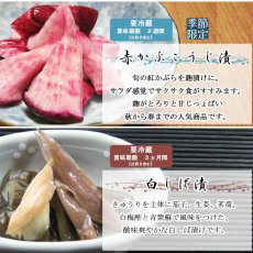 画像7: 洛乃華　【創業１６０周年記念商品】RH-7 (7)