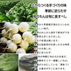 画像5: 千枚漬　袋入  (5)