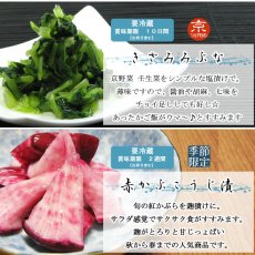 画像5: 雪華　TR-win　染竹トレー入 (5)