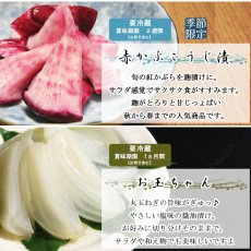 画像6: 冬の彩ねっと　FI-net (6)