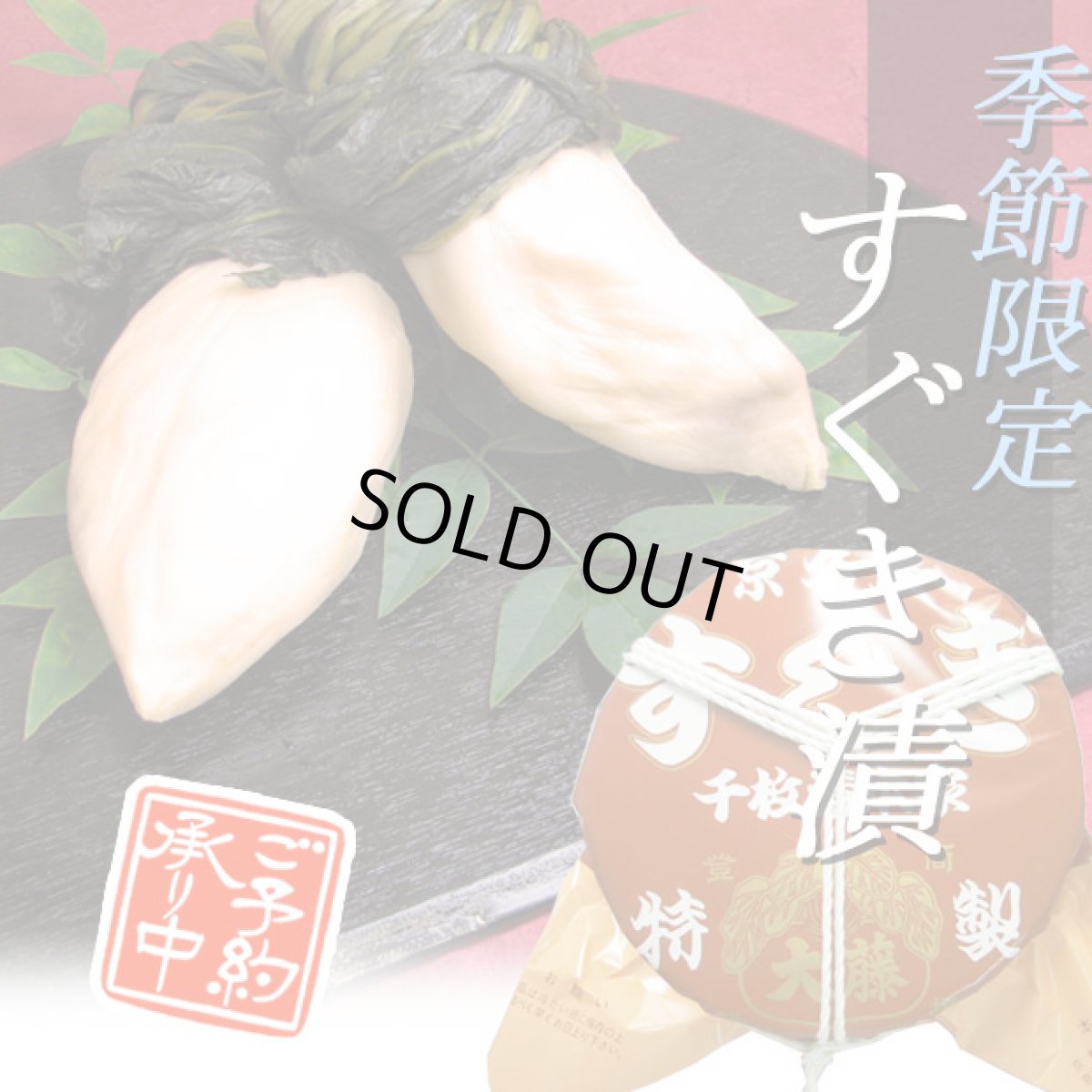 画像1: 【ご予約商品】すぐき　SUG-4　8.0号 (1)