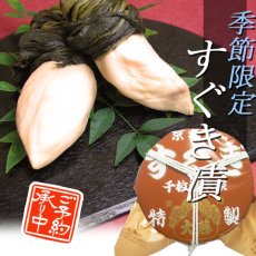 画像1: 【ご予約商品】すぐき　SUG-4　8.0号 (1)