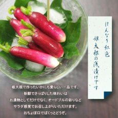 画像2: 欠品中　京おちょぼ　(姫大根浅漬) (2)