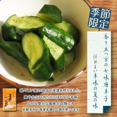 画像2: 七味胡瓜 ≪季節限定≫ (2)