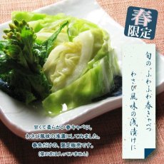 画像2: 〔５月４日まで〕春きゃべ　≪季節限定≫ (2)