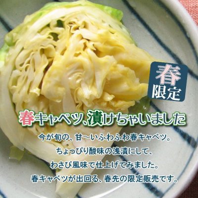 画像2: 〔５月４日まで〕春きゃべ　≪季節限定≫