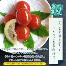 画像2: ぷちとまと　≪季節限定≫ (2)
