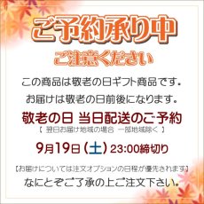 画像2: 秋のぷちギフト【MOMIJI】 (2)