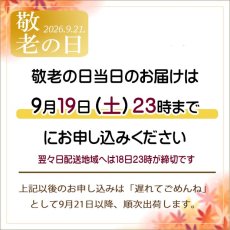 画像2: しぃずん【秋風】 (2)