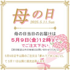 画像9: ぷちギフト【かすみ】母の日父の日限定 (9)