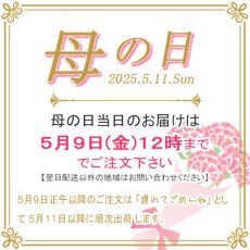 画像3: ぷちギフト【かすみ】母の日父の日限定 (3)