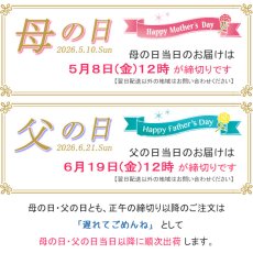画像2: 【母の日父の日予約】初夏のOAJIMI (2)