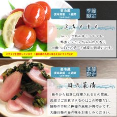 画像5: ぷちギフト【さつき】母の日父の日限定 (5)