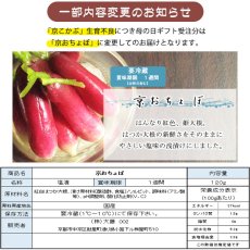 画像3: 【母の日父の日予約】しぃずん【新緑】 (3)