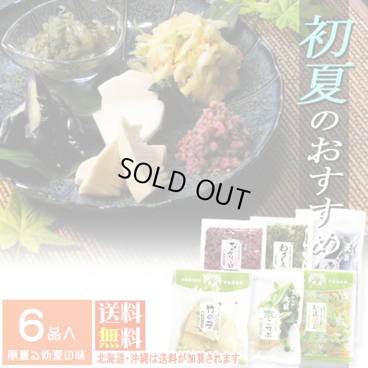 画像1: 【母の日父の日予約】しぃずん【新緑】 (1)