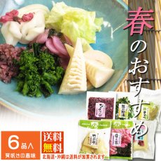 画像1: 〔５月４日まで〕しぃずん【春風】 (1)