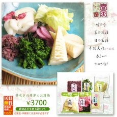 画像3: 〔５月４日まで〕しぃずん【春風】 (3)