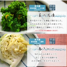 画像6: 〔５月４日まで〕しぃずん【春風】 (6)
