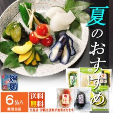 画像1: 〔ご予約商品〕しぃずん　涼風　 (1)