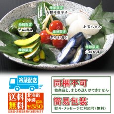 画像9: 〔ご予約商品〕しぃずん　涼風　 (9)