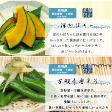 画像6: 〔ご予約商品〕しぃずん　涼風　 (6)