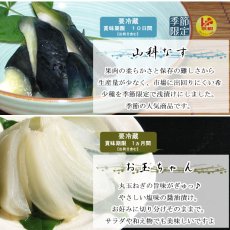 画像7: 〔ご予約商品〕しぃずん　涼風　 (7)
