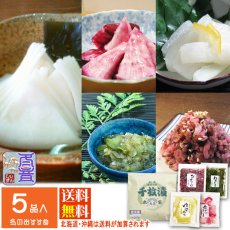 画像11: しぃずん【冬音】 (11)