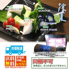 画像10: 涼夏ぷち (10)