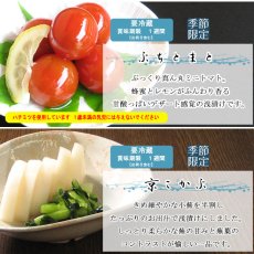 画像5: 涼夏ぷち (5)