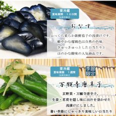 画像6: 涼夏ぷち (6)