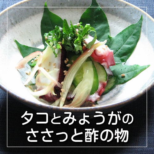 タコとみょうがの酢の物